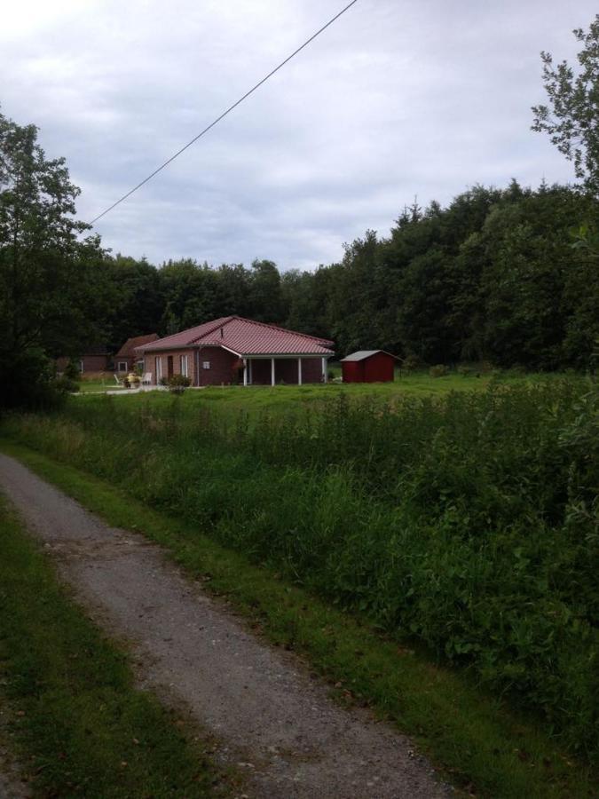 Ferienhaus Am Paradies Neuschoo 外观 照片